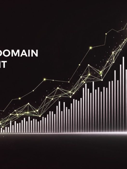 premium domain investment 2025