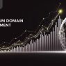 premium domain investment 2025