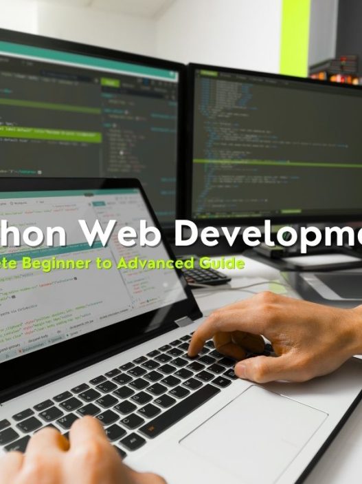 python web development