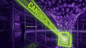 what are canonical tags